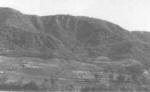 1946, panoramica da Campo del Fico - Clicca per ingrandire